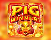 Pig Winner